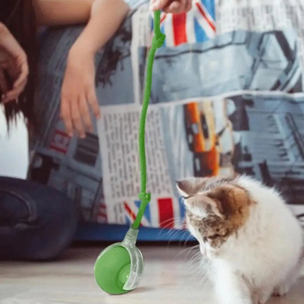 Automatic Led Cat Interactive Ball Toy With Rope Tail
