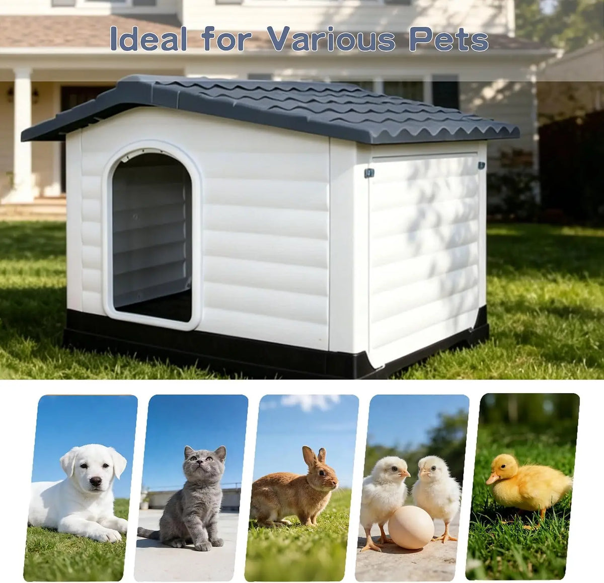 Twister Waterproof Two Door Elevated Pet House For Dogs