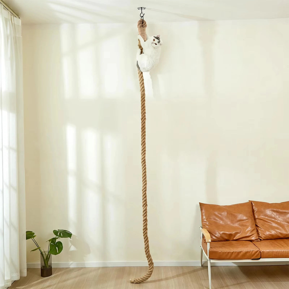 CWV Sisal Cat Ceiling Mounted Climbing Rope Scratcher