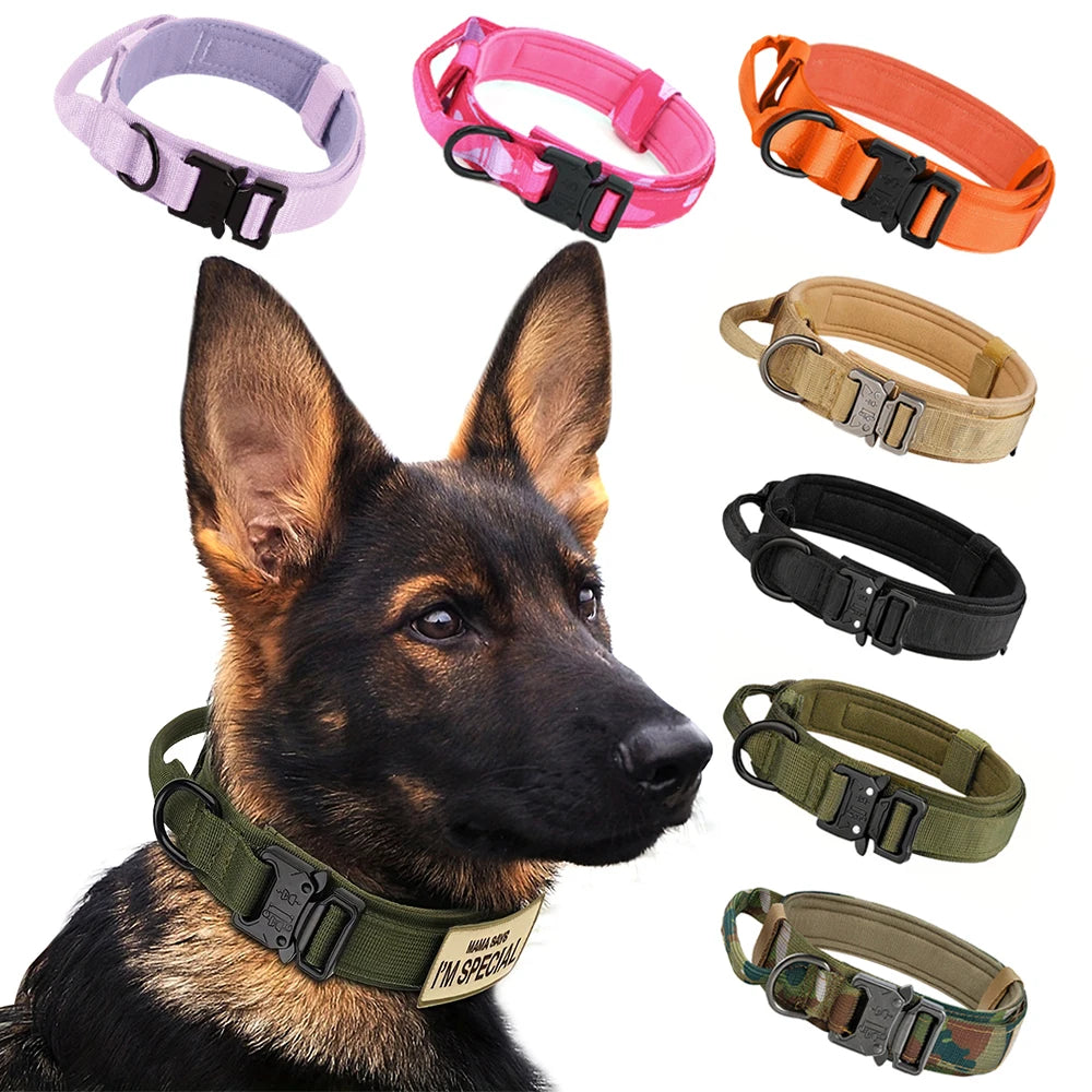 Petraavel Adjustable Nylon Dog Collar And Leash Set Padded Buckle