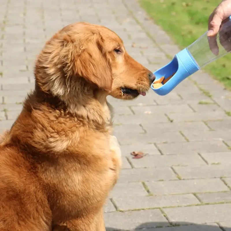 Two In One Portable Pet Water Bottle And Dog Feeder