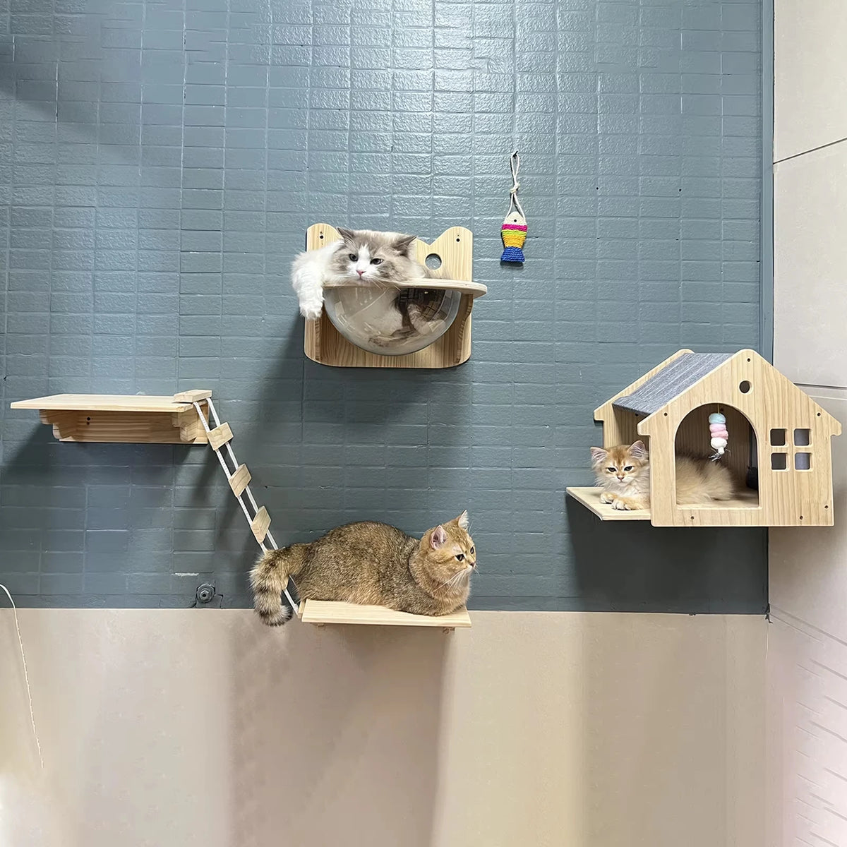 CWV Wall Mounted Wooden Cat Climbing Floating Shelf Villa