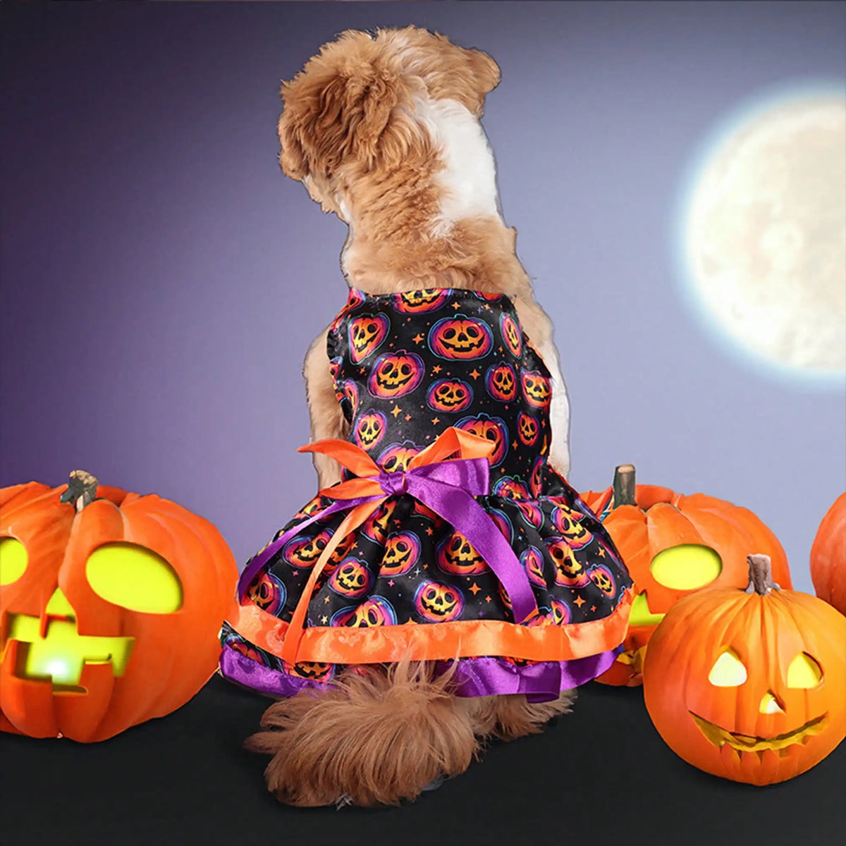 Soft Pumpkin Skull Print Pet Dog Halloween Costume With Bowknot