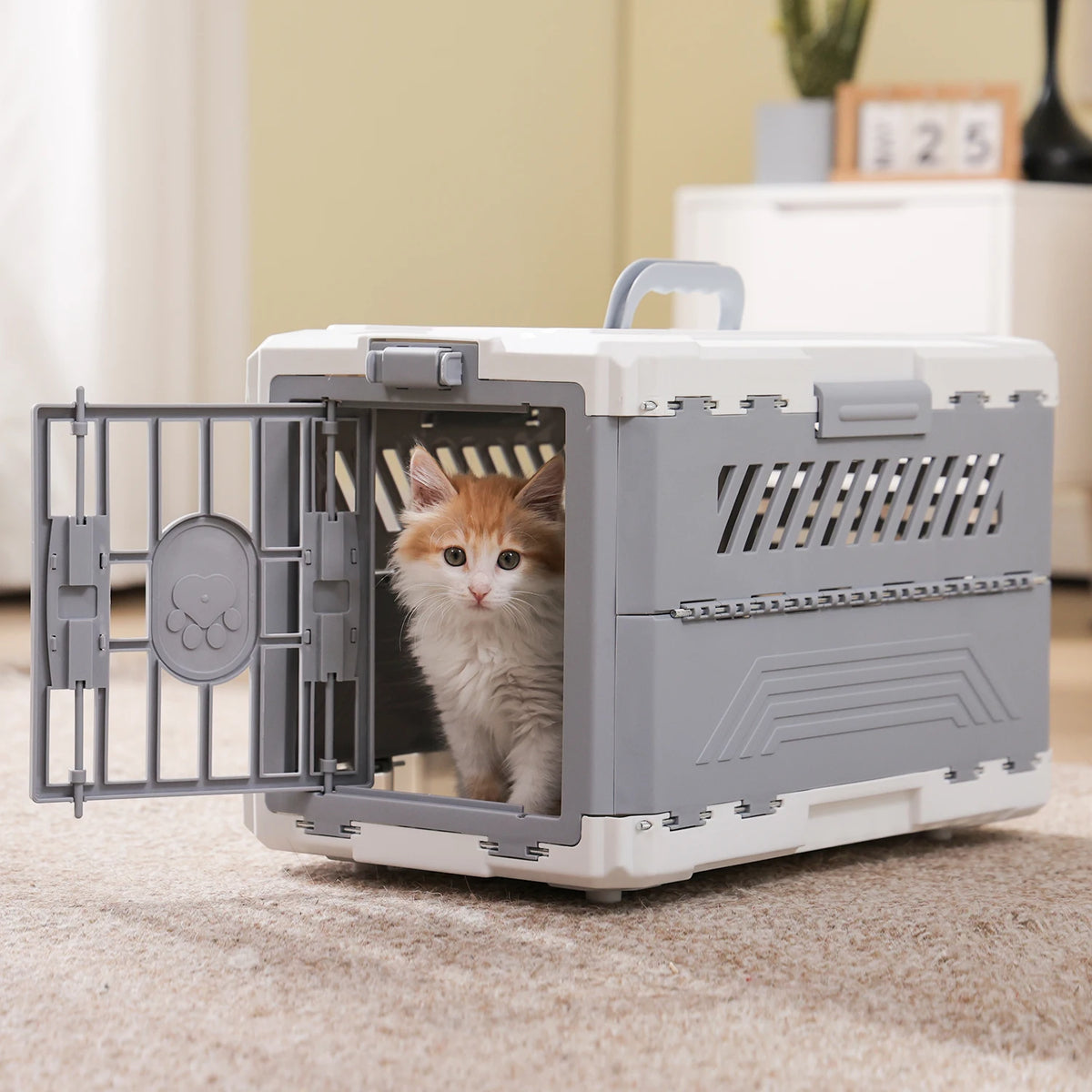 PAWZ Road Foldable Pet Travel Crate With Secure Lock Door