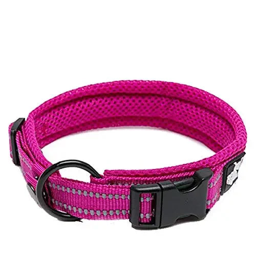 TrueLove Padded Reflective Nylon Adjustable Dog Cat Collar