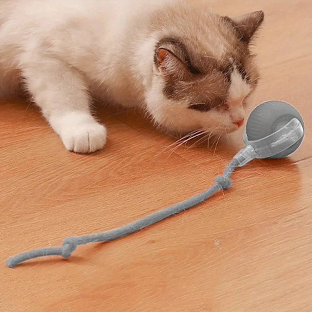 Automatic Led Cat Interactive Ball Toy With Rope Tail