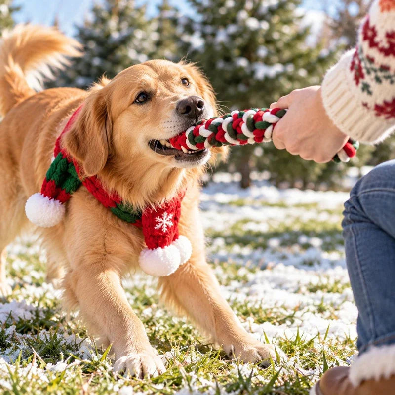 Durable Cotton Rope Dog Toy For Dental Hygiene And Playtime
