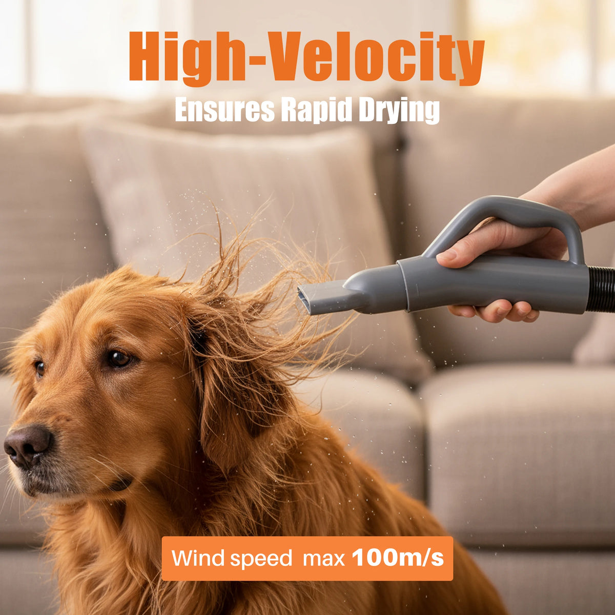Quiet Pet Grooming Hair Dryer With Multiple Heat And Speed Controls