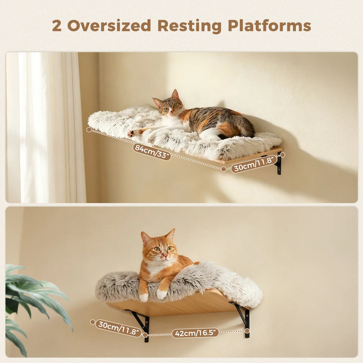 Pawz Road Wooden Cat Climbing Wall Shelves With Sisal Posts