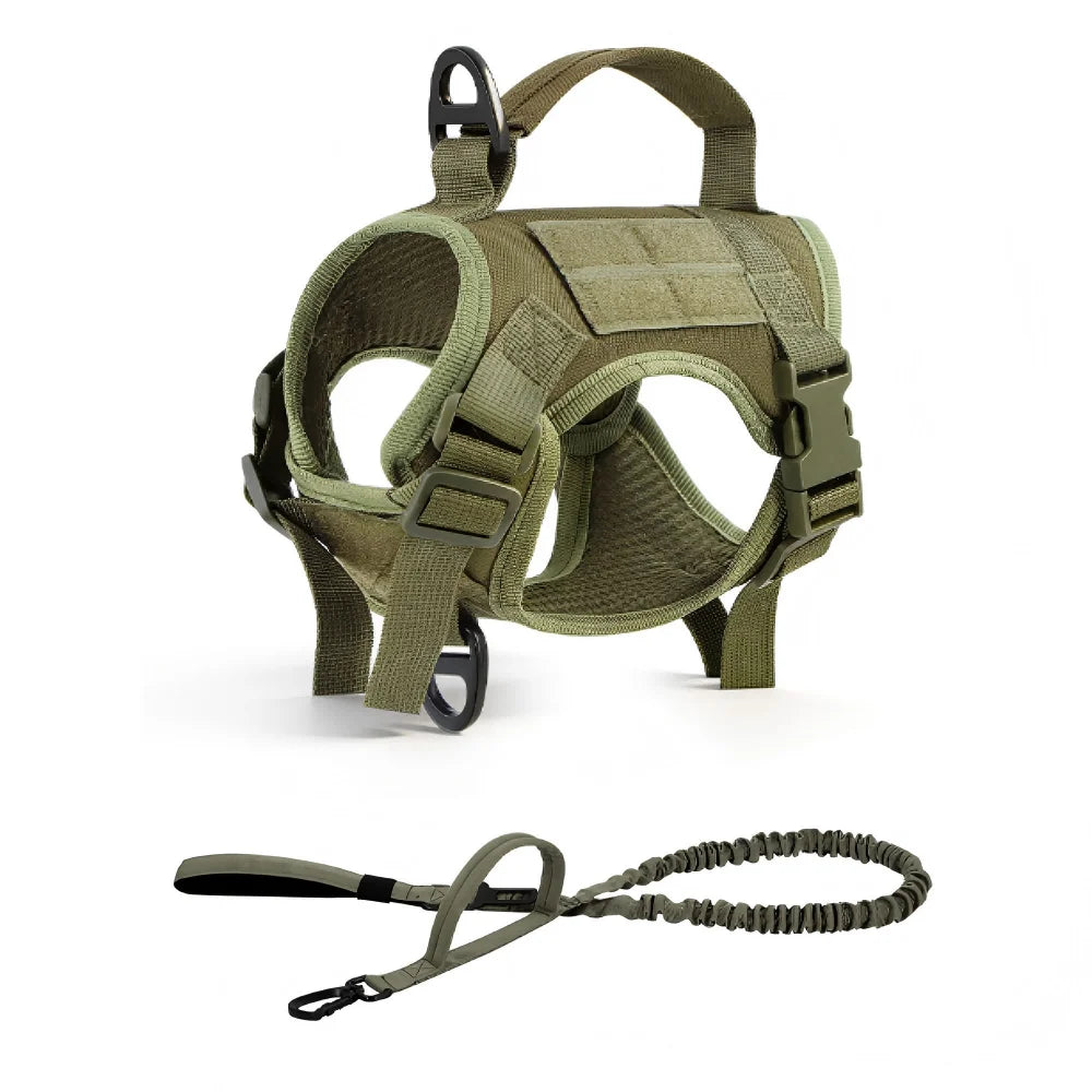 Petavel Adjustable Cat Harness And Leash Set With Secure Handle