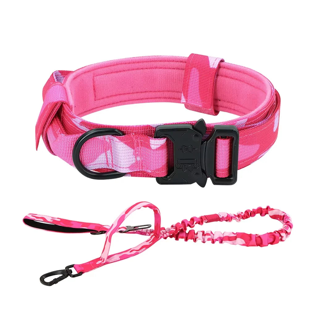 Petraavel Adjustable Nylon Dog Collar And Leash Set Padded Buckle