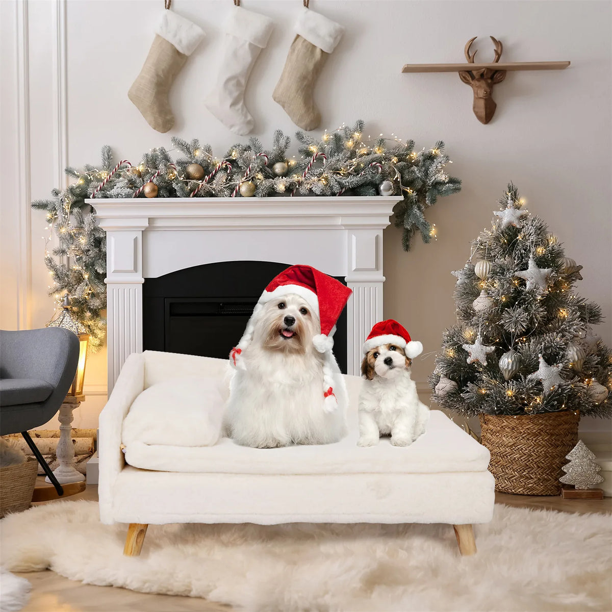 BINGOPAW Waterproof Raised Pet Sofa Bed for Dogs and Cats