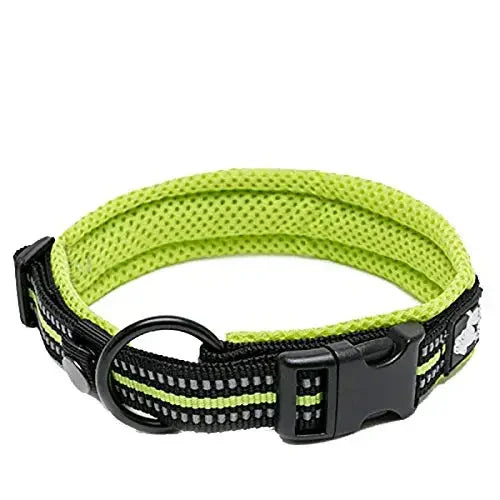 TrueLove Padded Reflective Nylon Adjustable Dog Cat Collar