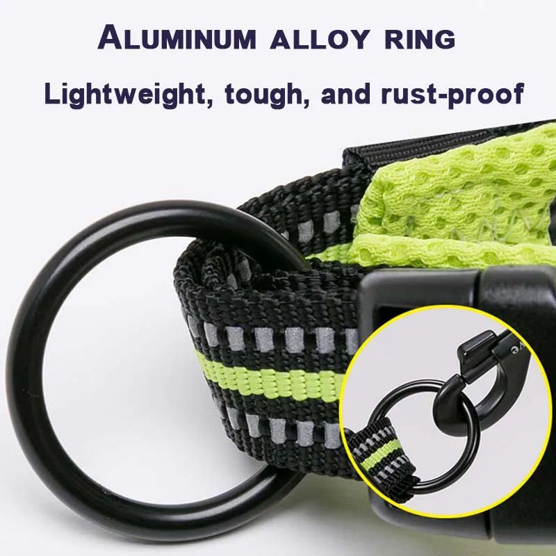 Winhyepet Padded Nylon Dog Collar With Comfortable Reflective Buckle
