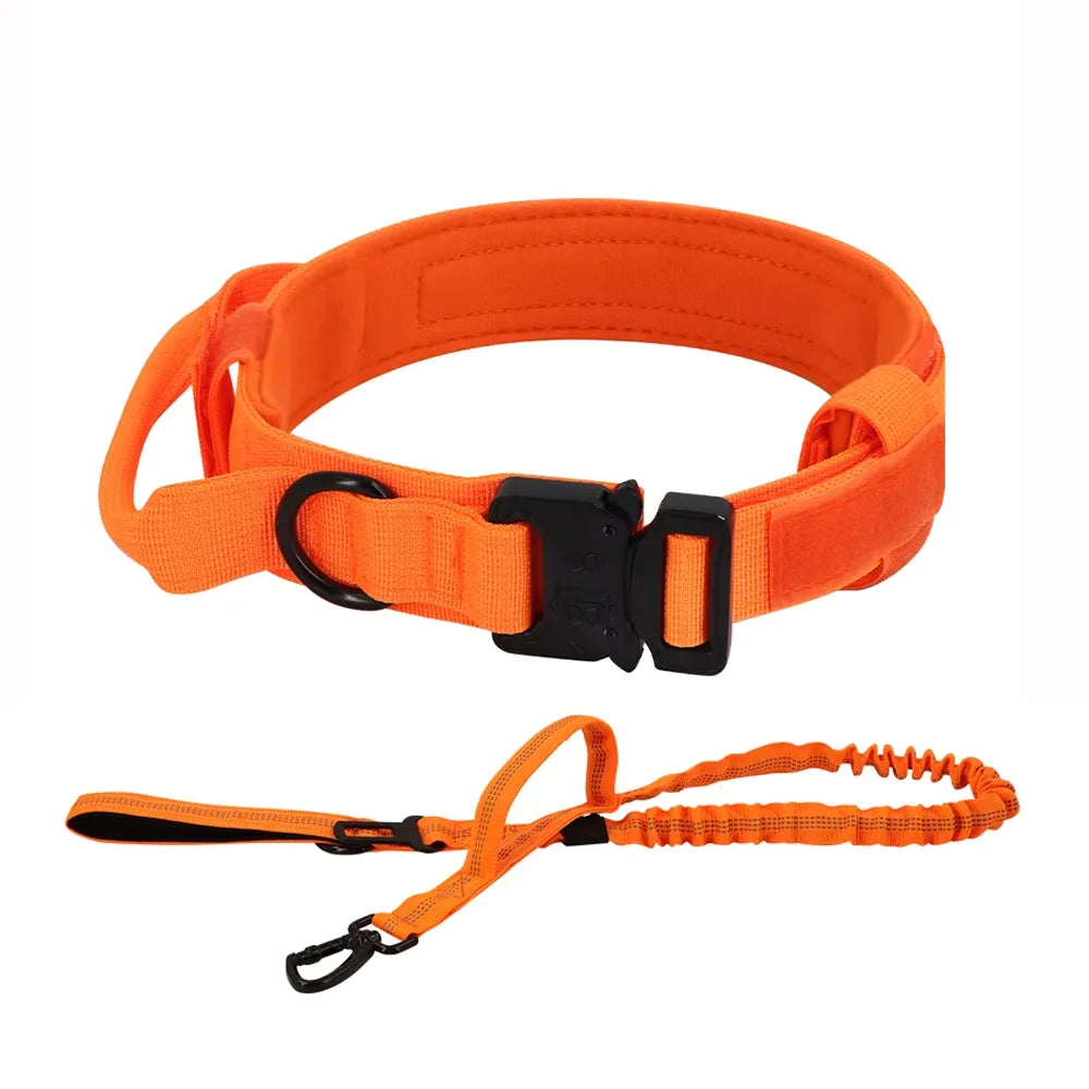 Petraavel Adjustable Nylon Dog Collar And Leash Set Padded Buckle