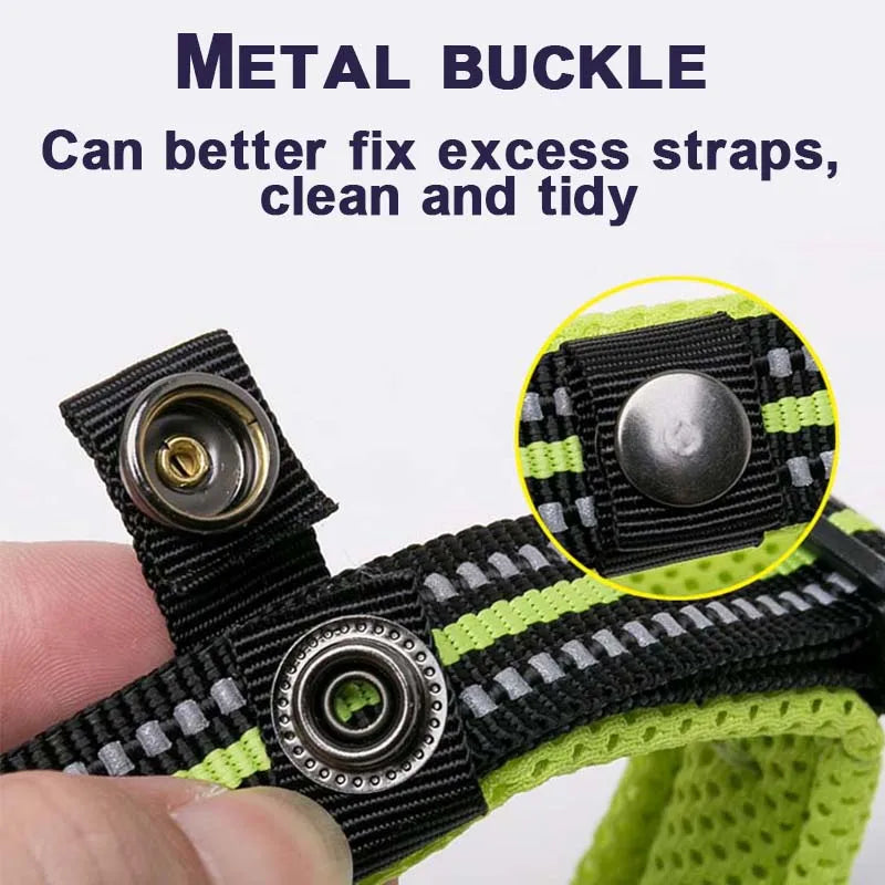 Winhyepet Padded Nylon Dog Collar With Comfortable Reflective Buckle