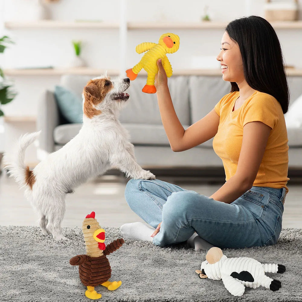 Assorted Plush Squeaky Dog Toys Animal Pet Chew Toy Bundle