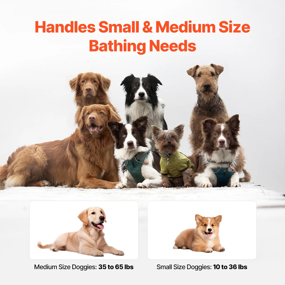 SucceBuy Portable Elevated Dog Bathtub And Foldable Pet Shower Station