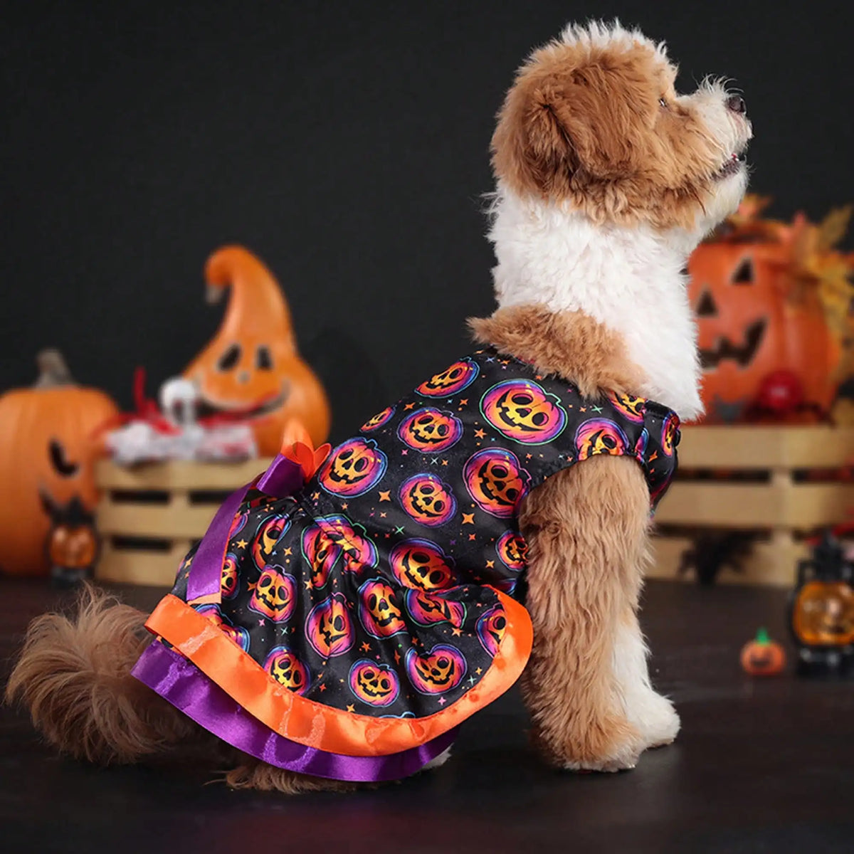Soft Pumpkin Skull Print Pet Dog Halloween Costume With Bowknot