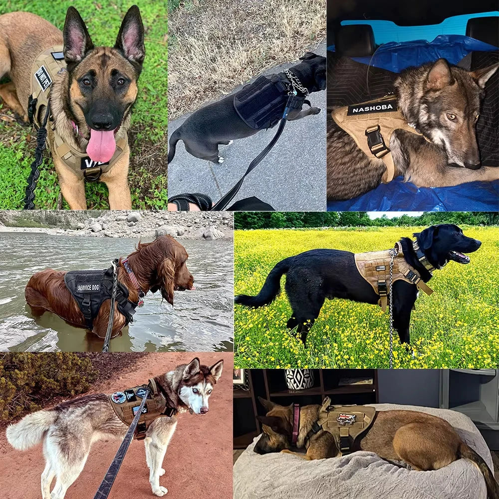 PetraVel Tactical Dog Harness Collar Leash Set For Pets