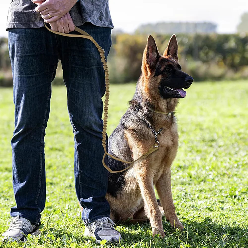 Petravel Military Dog Leash Adjustable Quick Release Dual Handle Nylon