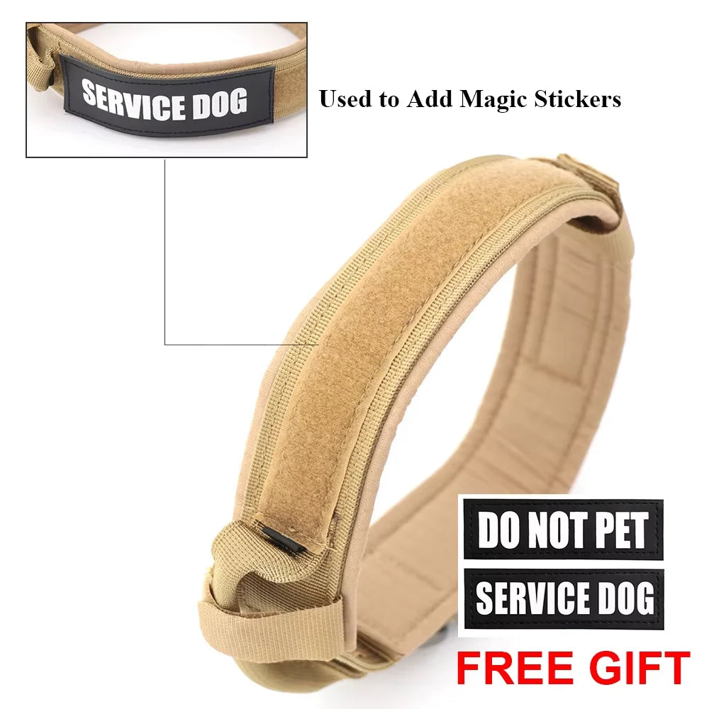 Petraavel Adjustable Nylon Dog Collar And Leash Set Padded Buckle