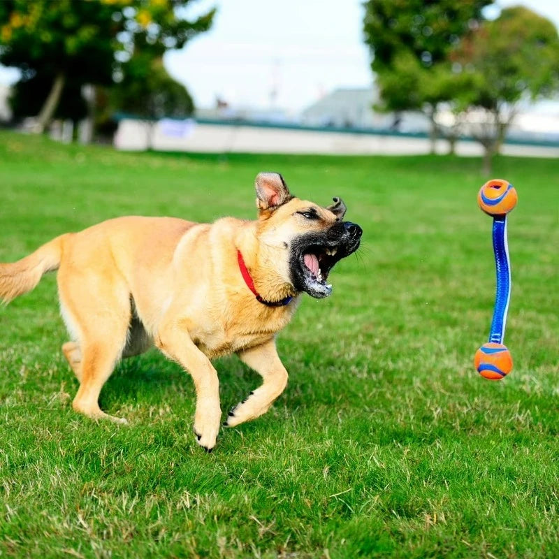 Durable Indoor and Outdoor Rope Fetch Tug Toy for Dogs