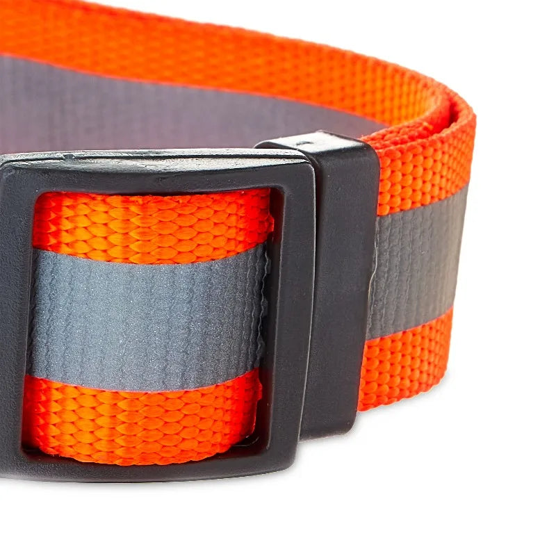 Adjustable Nylon Reflective Dog Collar With Sturdy Metal Hardware