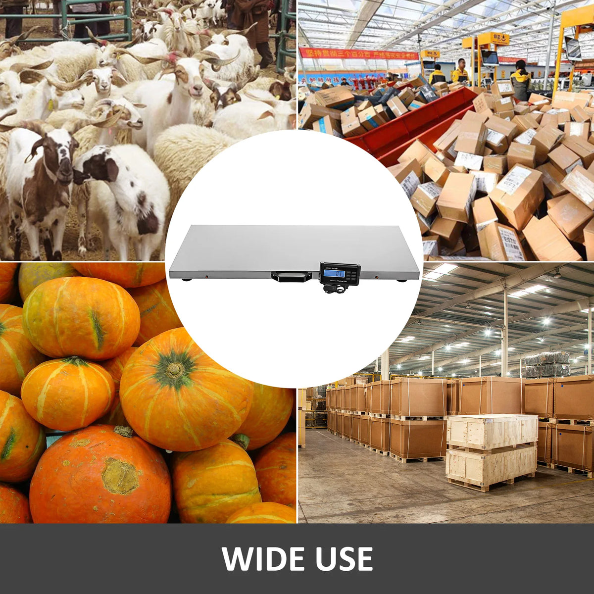 Stainless Steel Digital Livestock Weighing Platform Scale For Veterinary Use