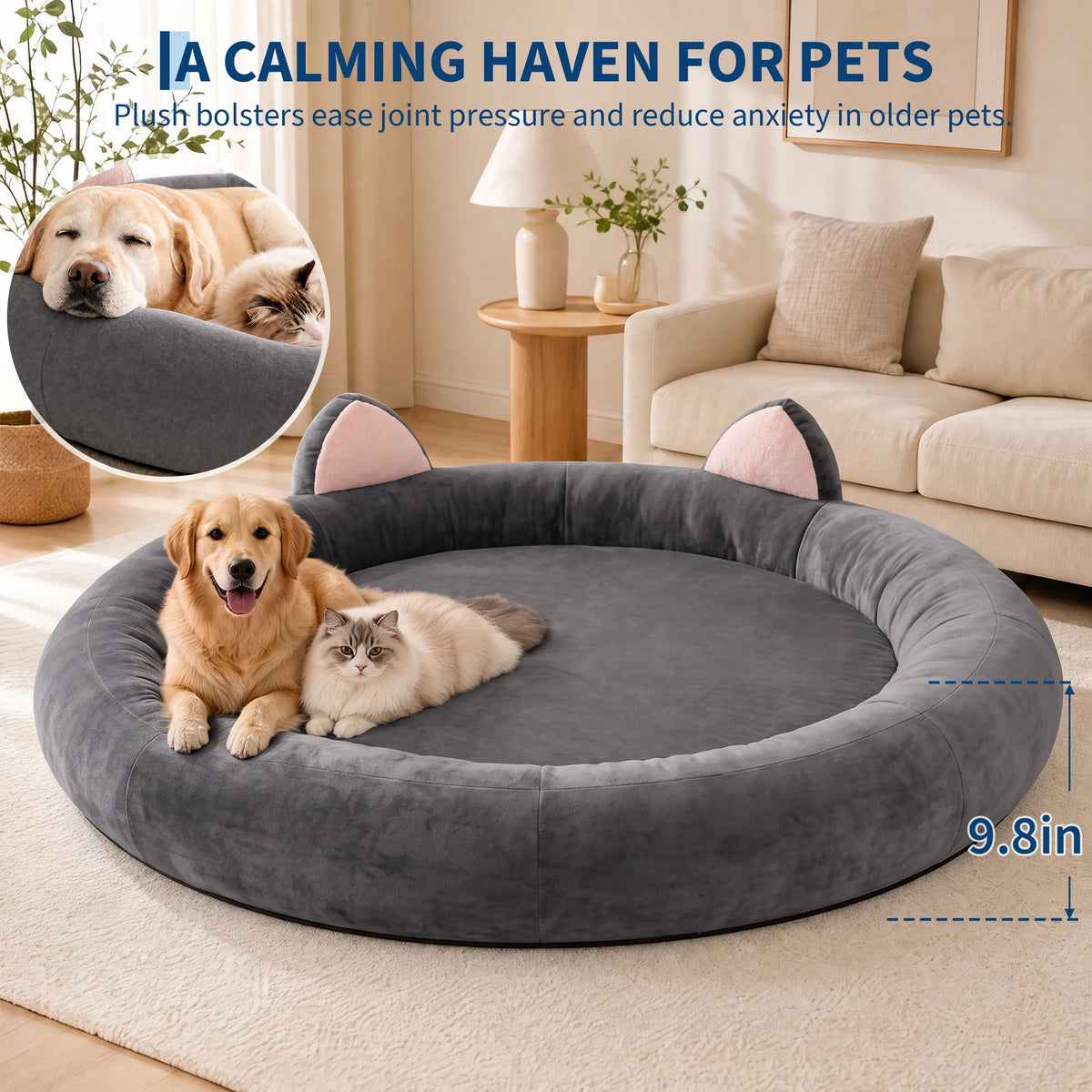 Orthopedic Memory Foam Dog Bed With Elevated Bolster Support