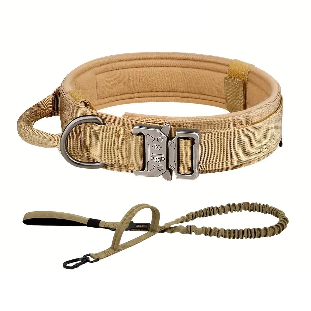 Petraavel Adjustable Nylon Dog Collar And Leash Set Padded Buckle