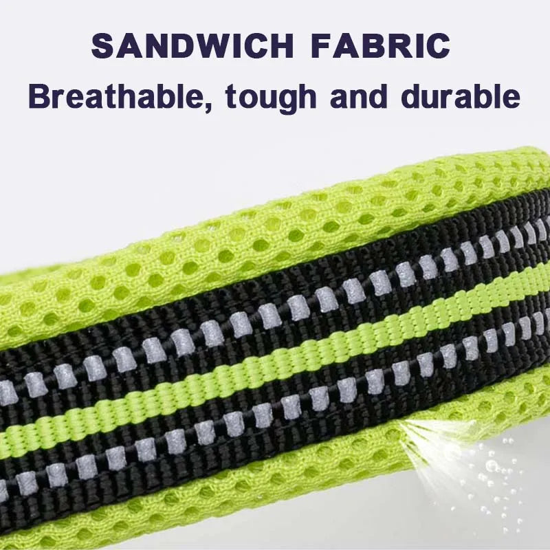Winhyepet Padded Nylon Dog Collar With Comfortable Reflective Buckle