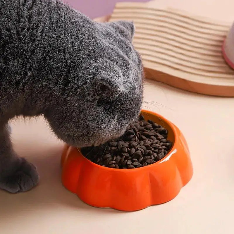 Cute Fruit Pet Ceramic Food Bowl For Cats And Dogs