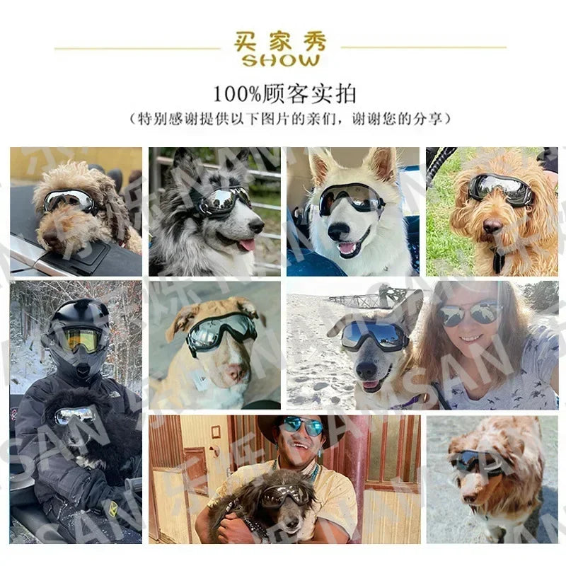Premium Ventilated Dog Goggles With UV And Dust Protection