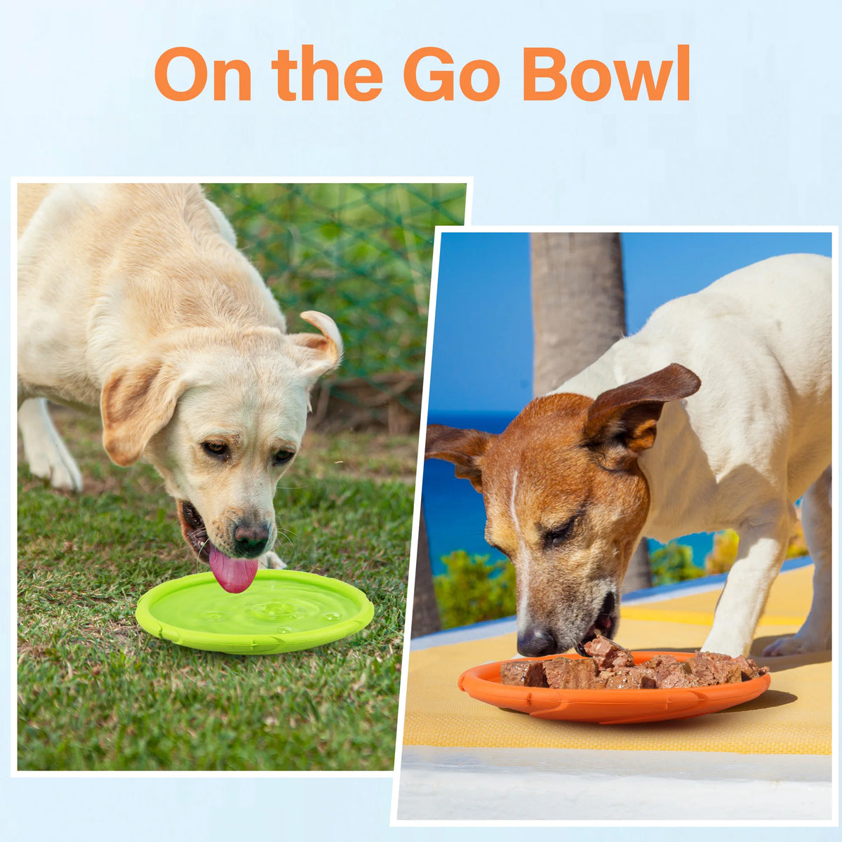 Waterproof Floating Natural Rubber Dog Flying Disc Toy
