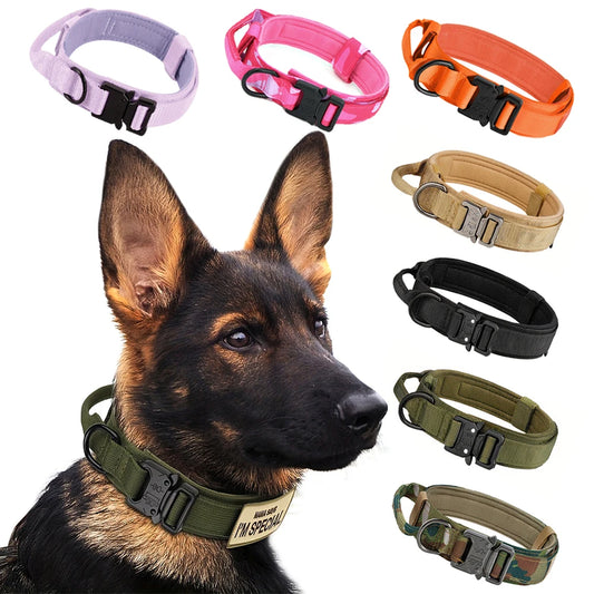 Petraavel Adjustable Nylon Dog Collar And Leash Set Padded Buckle