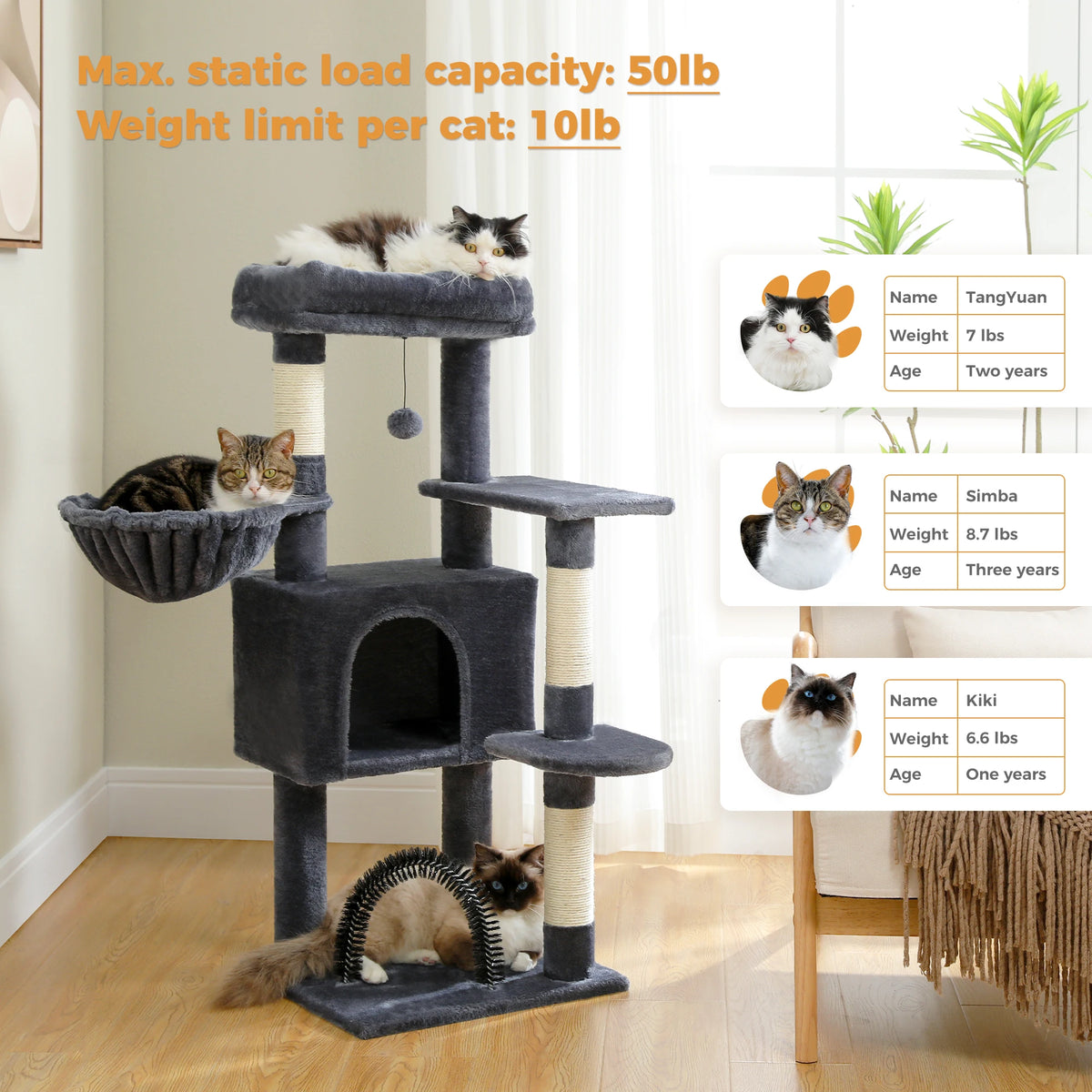 PAWZ Road Four Tier Cat Condo Featuring Hammock And Posts