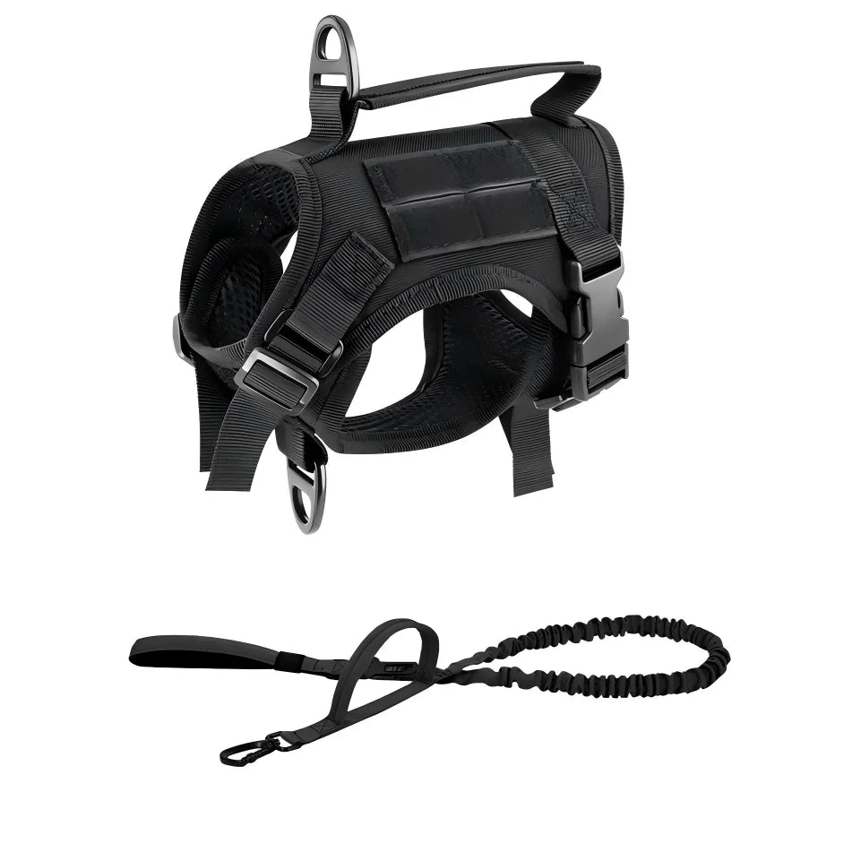 Petavel Adjustable Cat Harness And Leash Set With Secure Handle