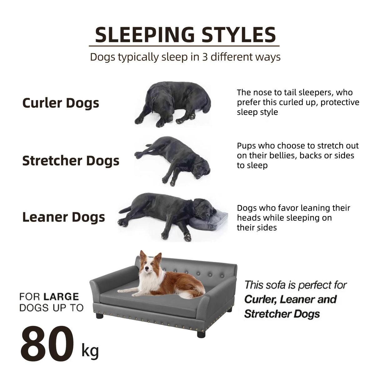 Bingopaw Elevated Dog Sofa With Removable Waterproof Cushion