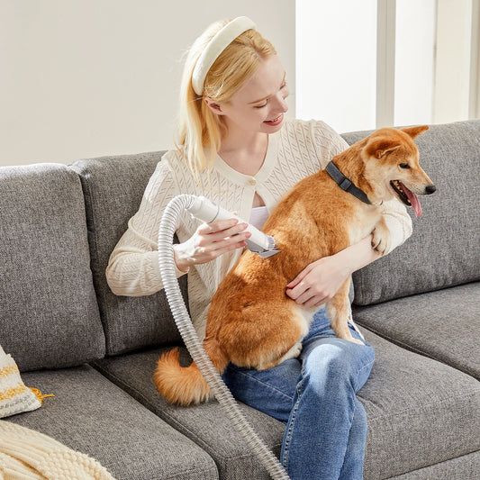 Sweetcrispy Professional Pet Grooming Vacuum Clipper Kit Low Noise