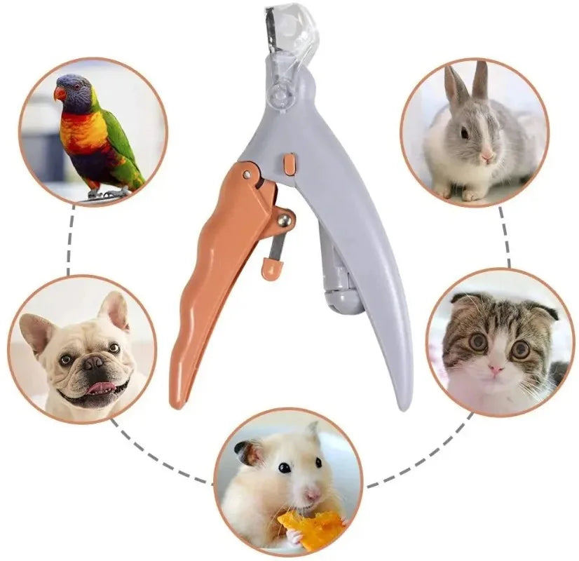 LED Light Pet Nail Clipper Scissors For Cats And Dogs