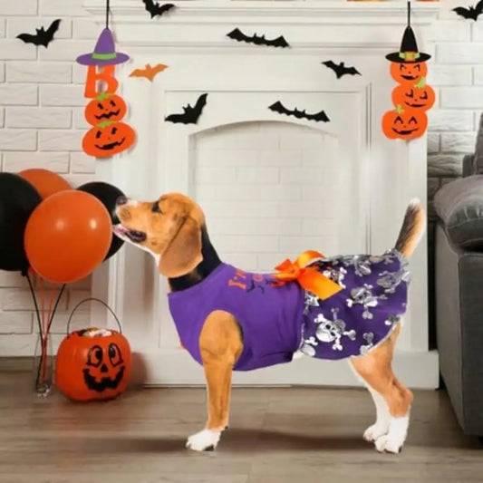 Adorable Dog Halloween Witch Costume With Decorative Bow