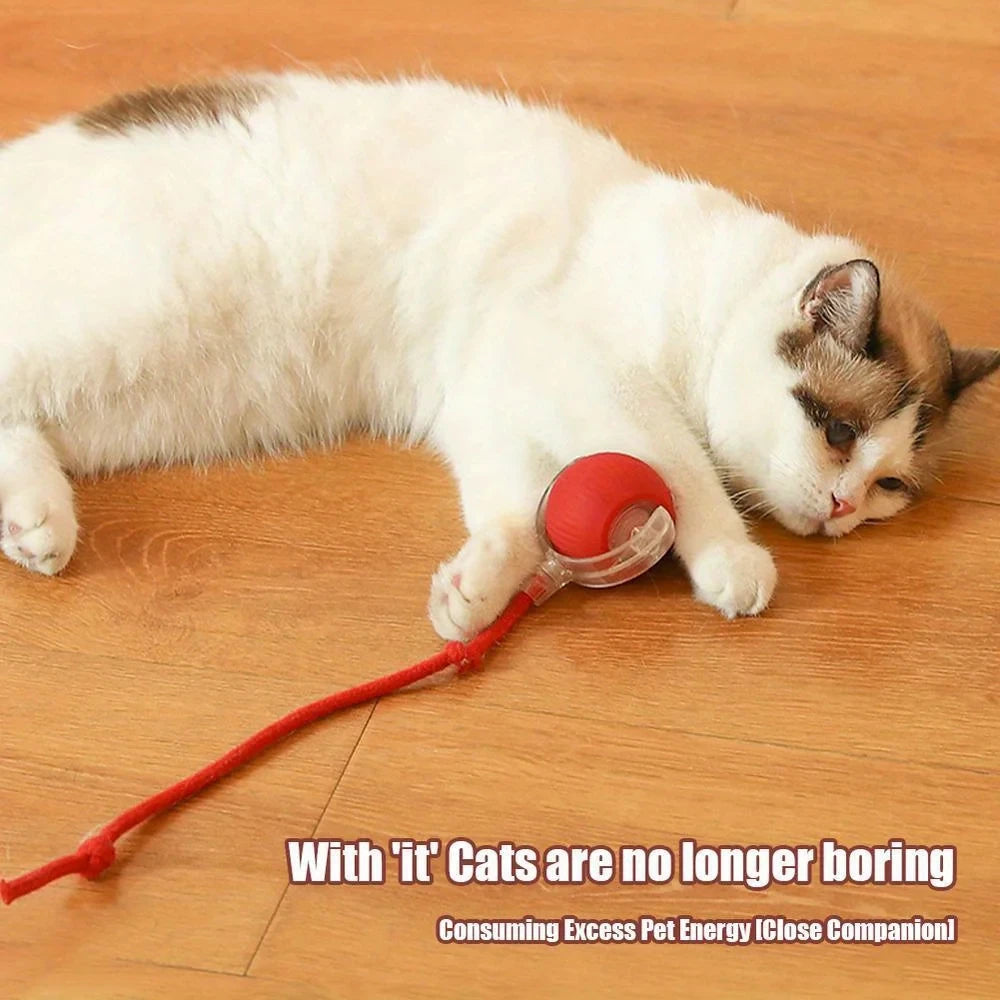 Automatic Led Cat Interactive Ball Toy With Rope Tail