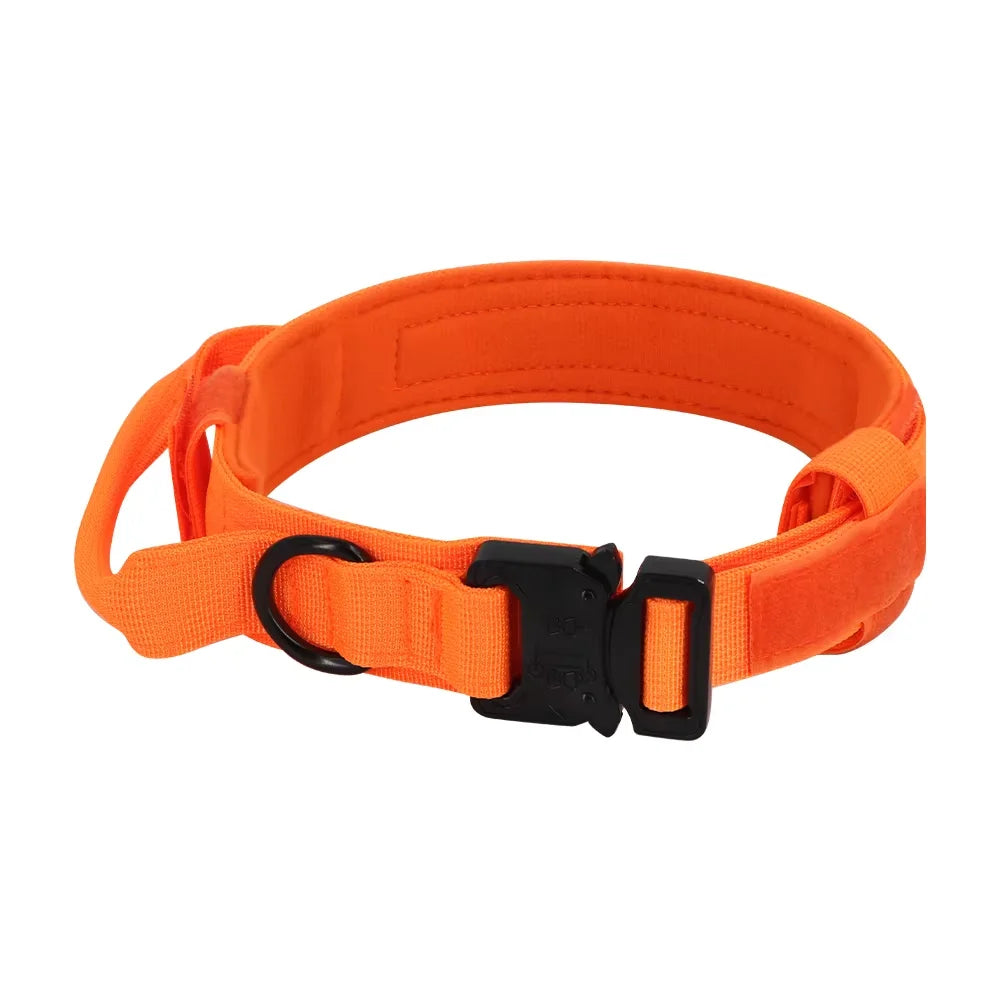 Petraavel Adjustable Nylon Dog Collar And Leash Set Padded Buckle