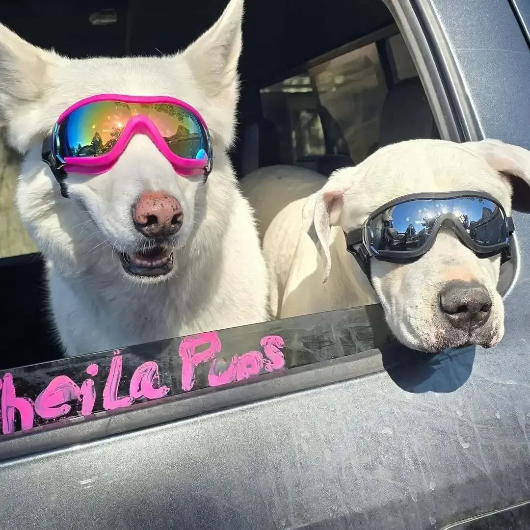 Premium Ventilated Dog Goggles With UV And Dust Protection