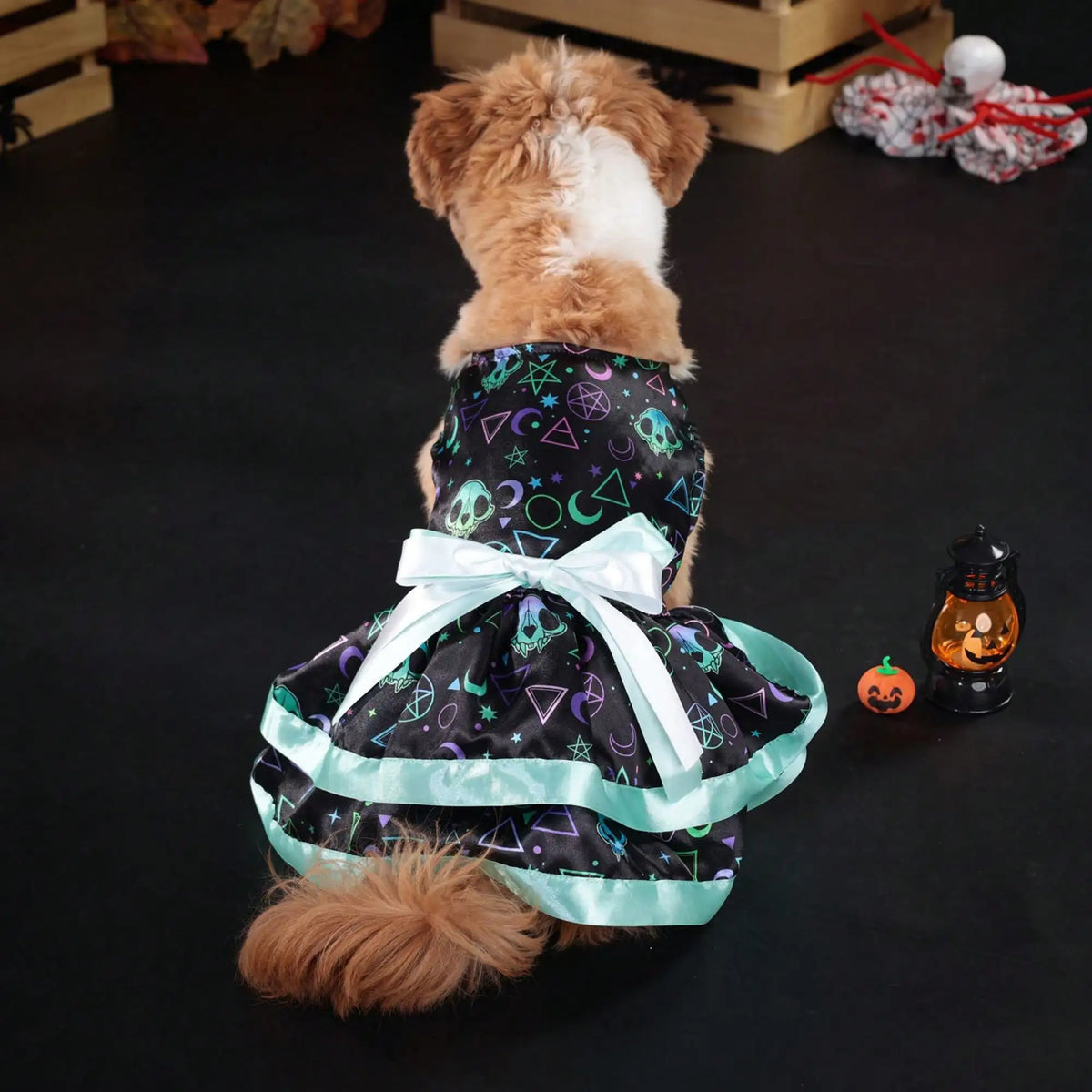 Funny Pumpkin And Skull Print Bowknot Dog Halloween Costume