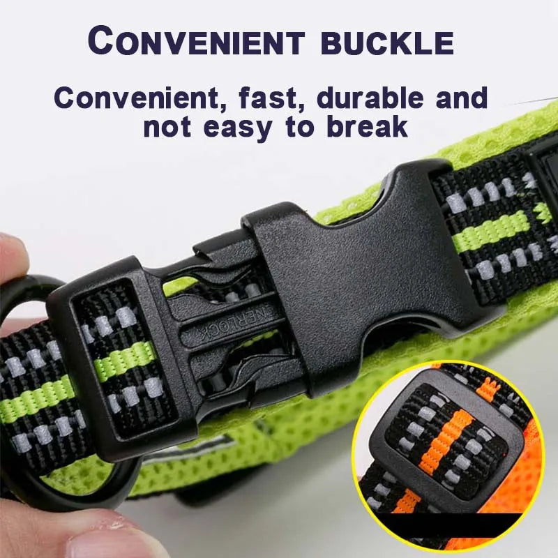 Winhyepet Padded Nylon Dog Collar With Comfortable Reflective Buckle