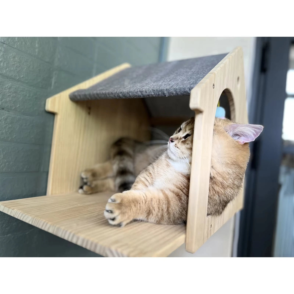 CWV Wall Mounted Wooden Cat Climbing Floating Shelf Villa