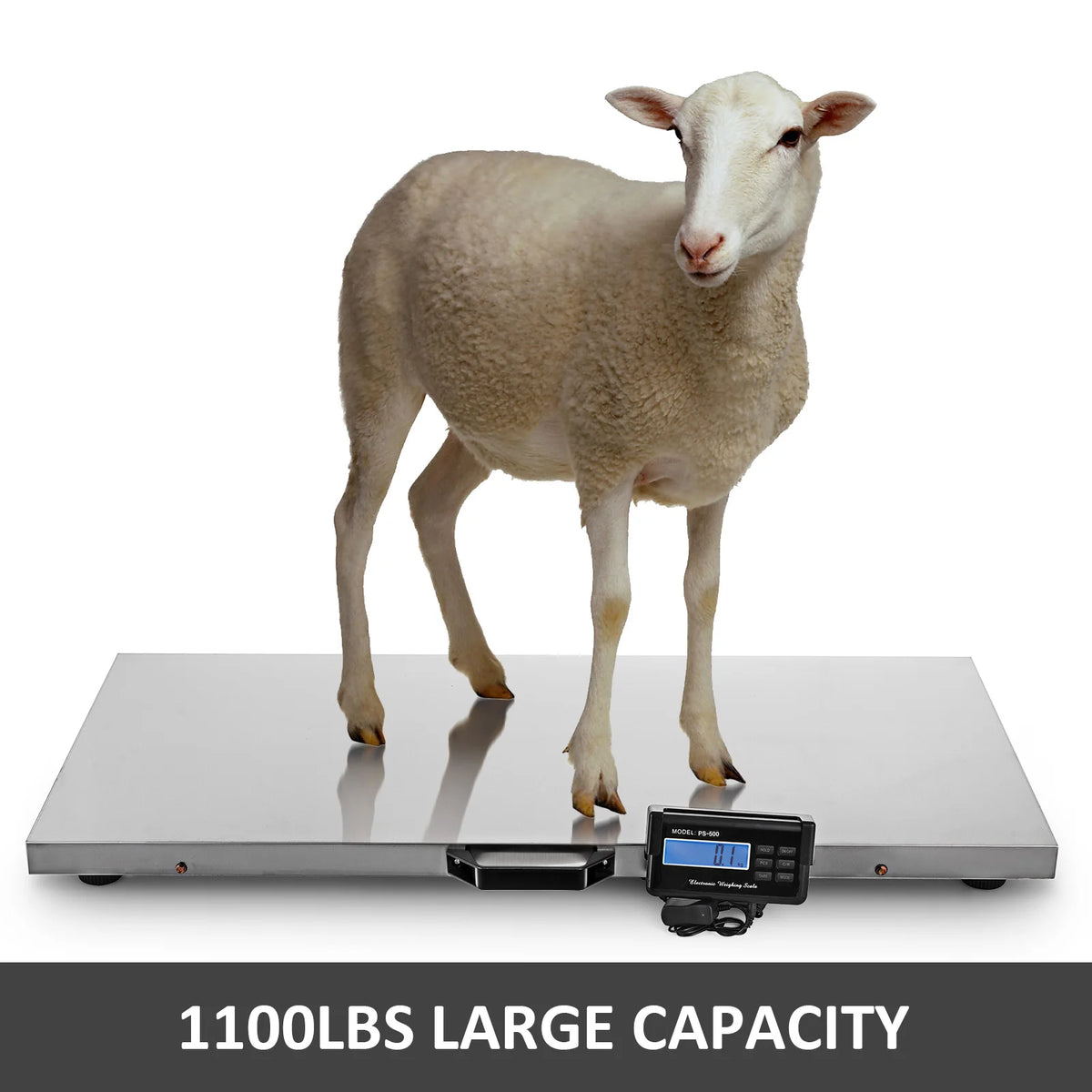 Stainless Steel Digital Livestock Weighing Platform Scale For Veterinary Use