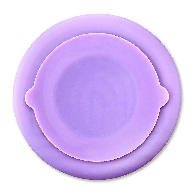 Premium Silicone Slow Feeder Bowl For Pets Recess Bowl Design